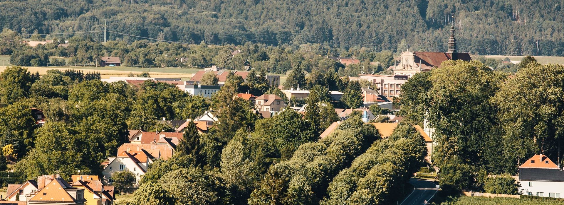 Lipová alej směrem k Valdické kartouze