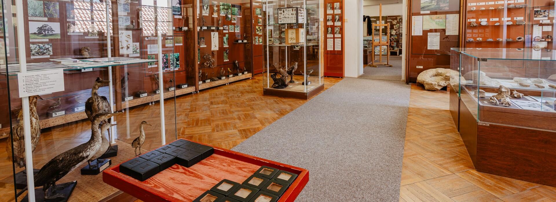 muzeum Jičín