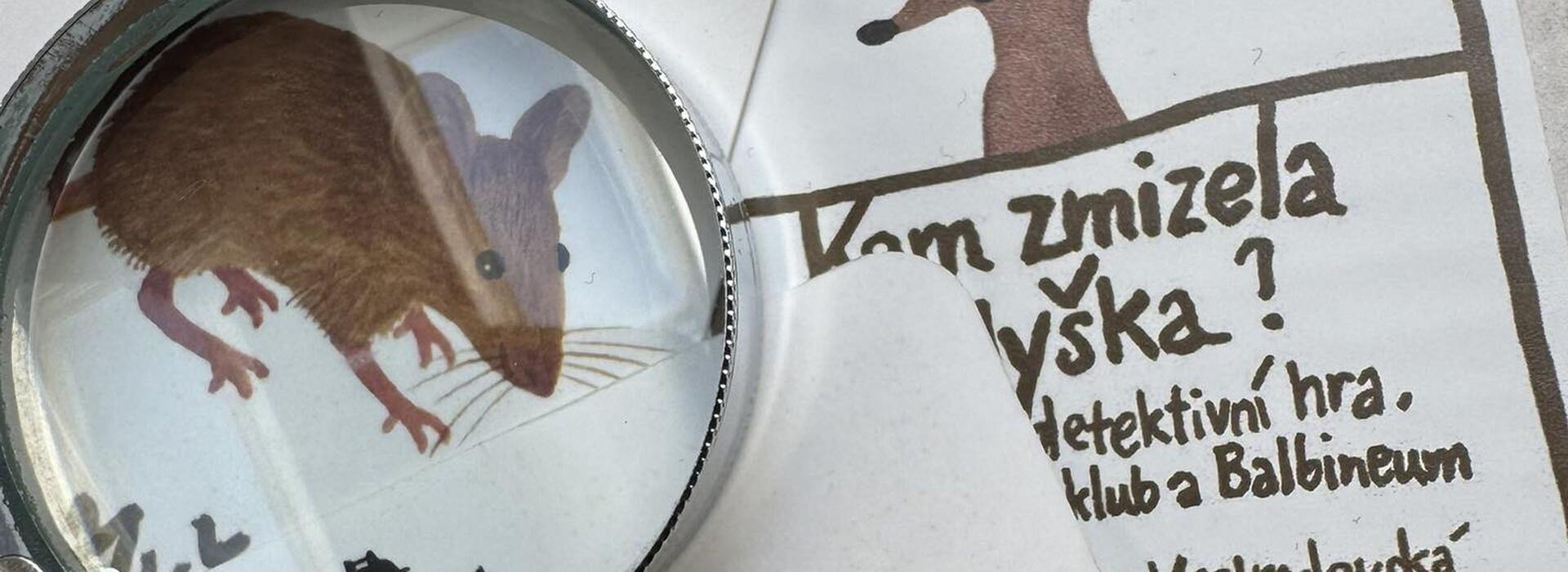 kam zmizela myška, dětská hra