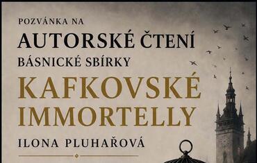 plakát