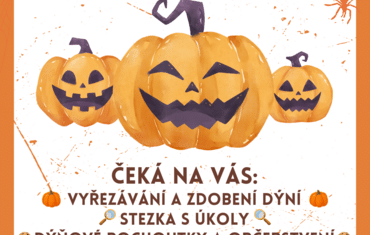 plakát